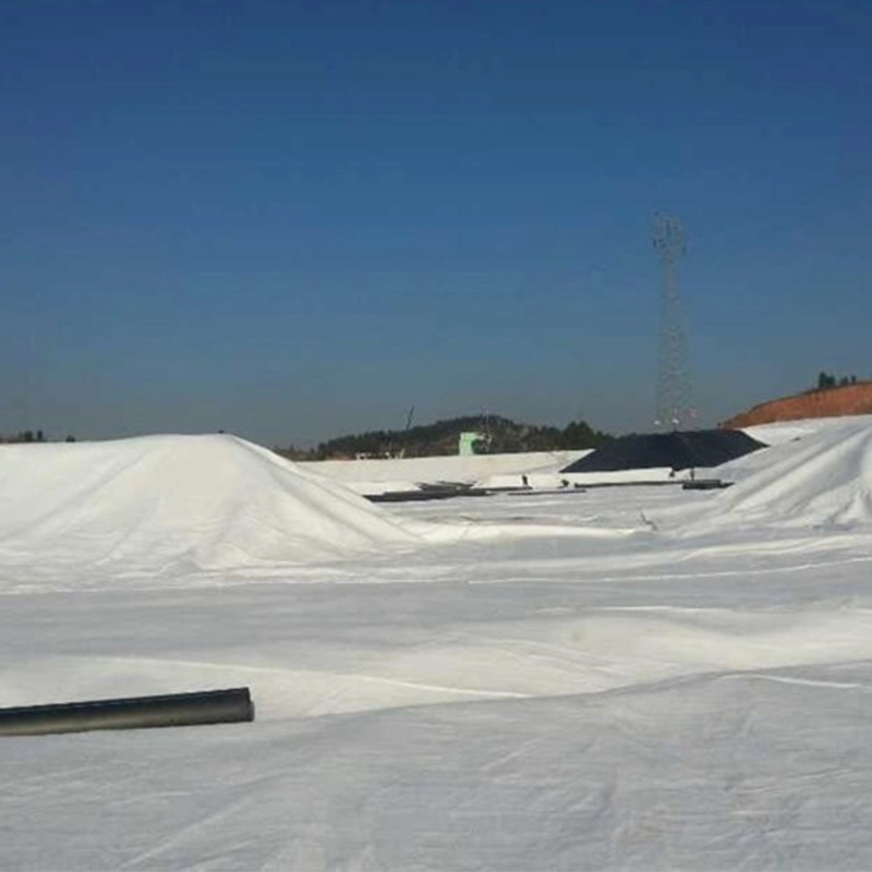 Geosynthetics مادة غير منسوجة جيوتكستايل PET 2