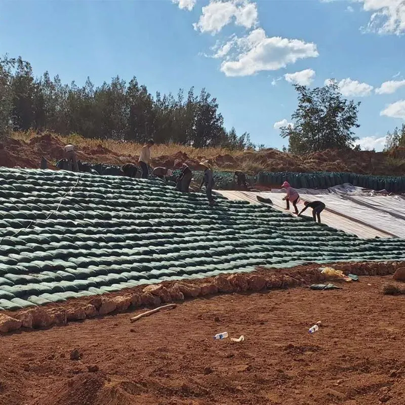 غير منسوجة Geotextile Geobag Geotube لفلتر المياه مقاومة للماء 2
