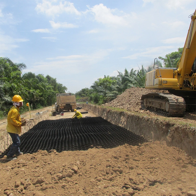 الشبكة الأرضية للخلايا الأرضية HDPE المقاومة للتآكل المستخدمة في بناء الطرق 5