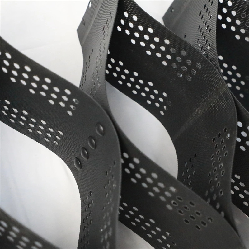 نظام الحصى الحصى HDPE نظام الحصى المواد طريق القيادة الجيوسل النسيجية لتعزيز الطرق 2