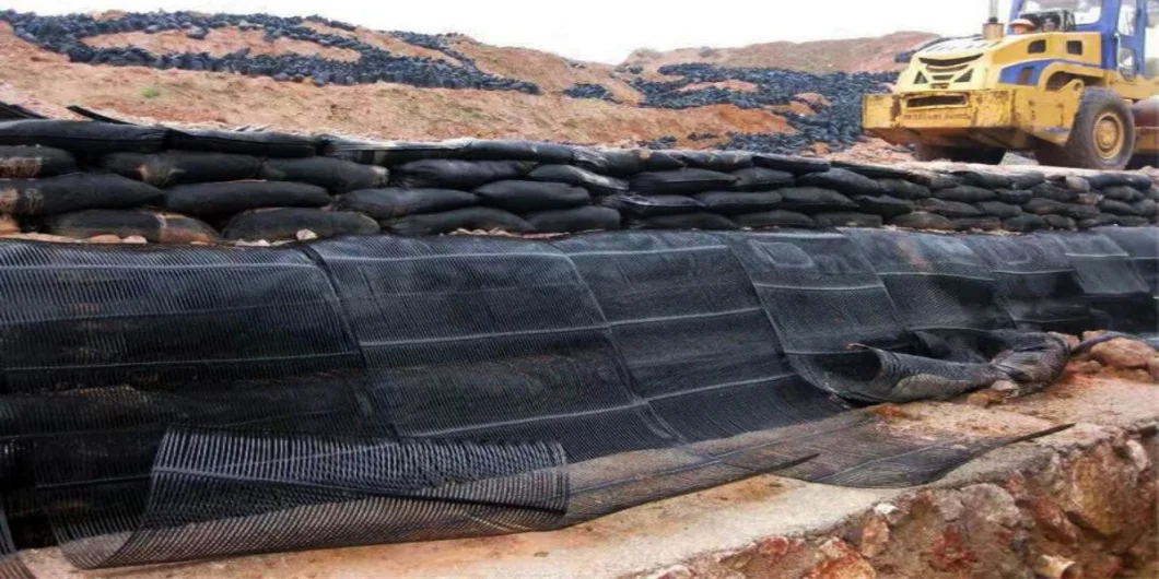 الشبكة الجغرافية الشبكة الأرضية البلاستيكية أحادية المحور البوليستر الشبكة الأرضية أحادية المحور الشبكة الرملية الأرضية للقبو 1