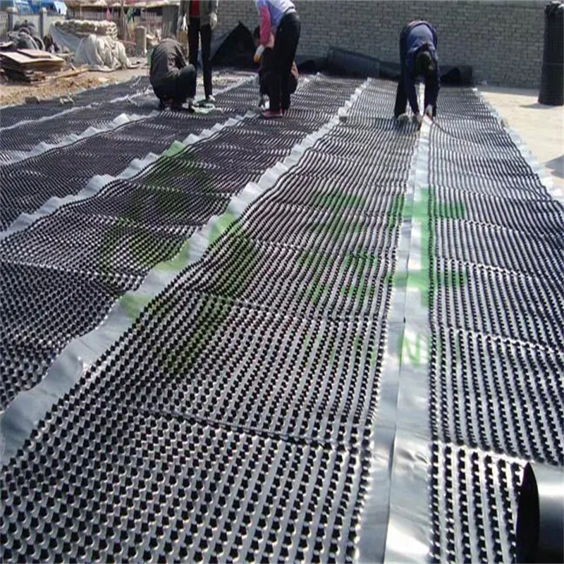 مشروع خضراء غشاء الصرف الصحي المكثف PVC لوح الصرف الصحي المكثف العمل الأساسي الحل المائي الحل المائي 15