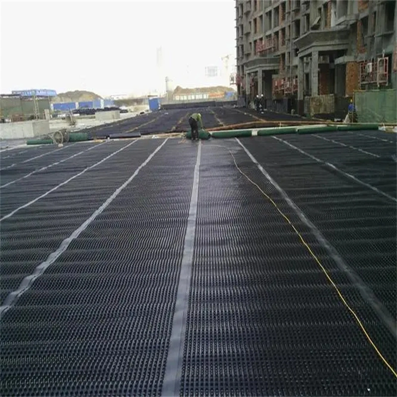 مشروع خضراء غشاء الصرف الصحي المكثف PVC لوح الصرف الصحي المكثف العمل الأساسي الحل المائي الحل المائي 16