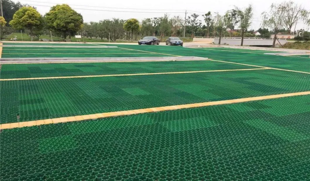 الشبكة المثبتة للعشب البلاستيكي من HDPE لموقف السيارات 13