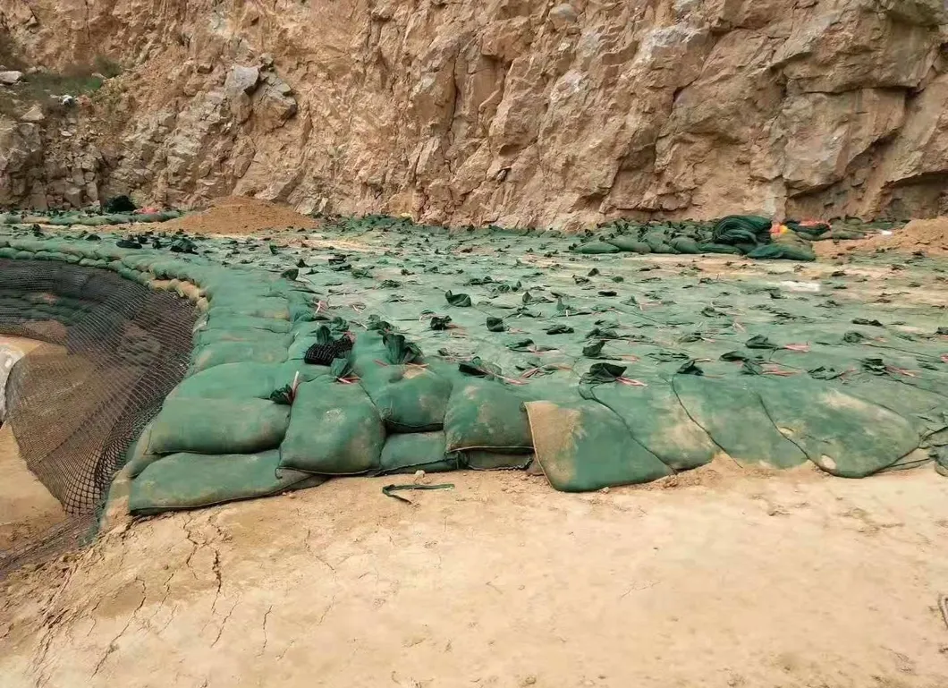 حقيبة جيو غير منسوجة بوليستر / PP Geobag لحماية المنحدرات والسد العشبي لحماية البيئة البيئية 0