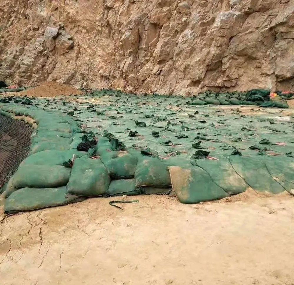 حقيبة جيو غير منسوجة بوليستر / PP Geobag لحماية المنحدرات والسد العشبي لحماية البيئة البيئية 11