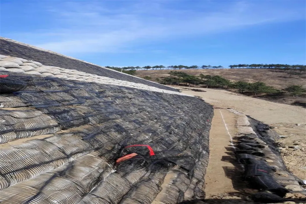 PP PE البلاستيكية ذات الاتجاه الواحد أحادي المحور البوليستر Geogrid Gravel Grid استقرار الأرض لتعزيز التربة 0