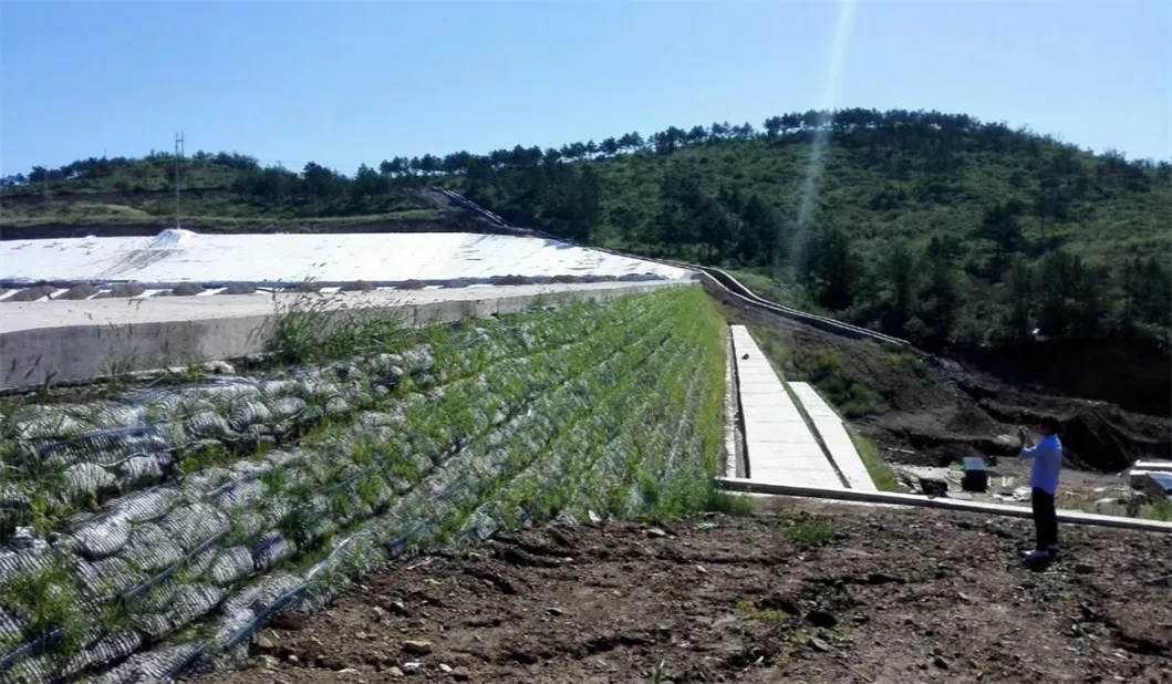 PP PE البلاستيكية ذات الاتجاه الواحد أحادي المحور البوليستر Geogrid Gravel Grid استقرار الأرض لتعزيز التربة 13