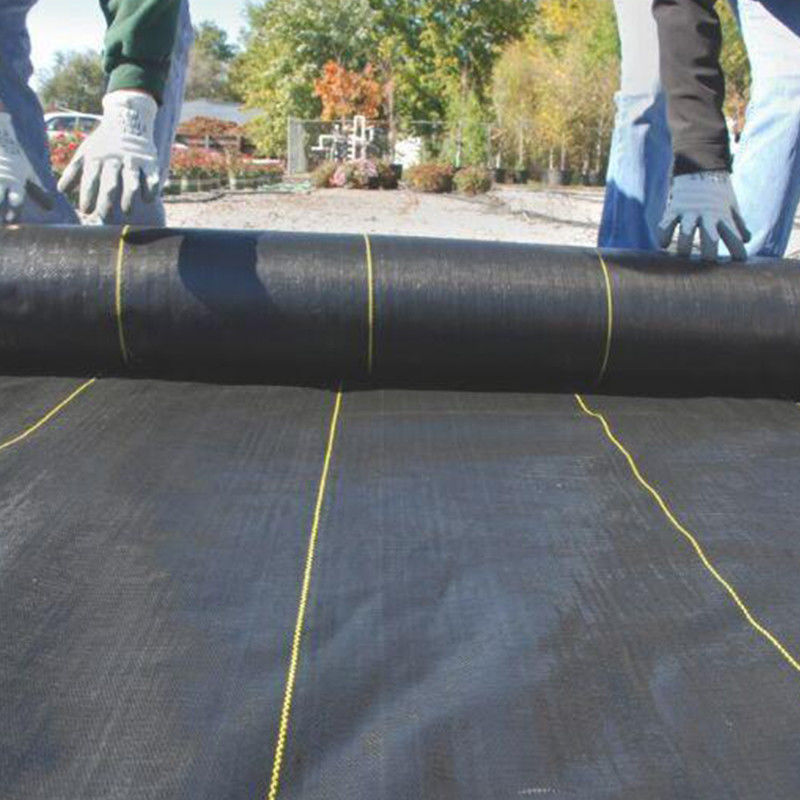 استقرار PP Geotextile Geogrid المنسوجة النسيج لمنتج تقوية التربة