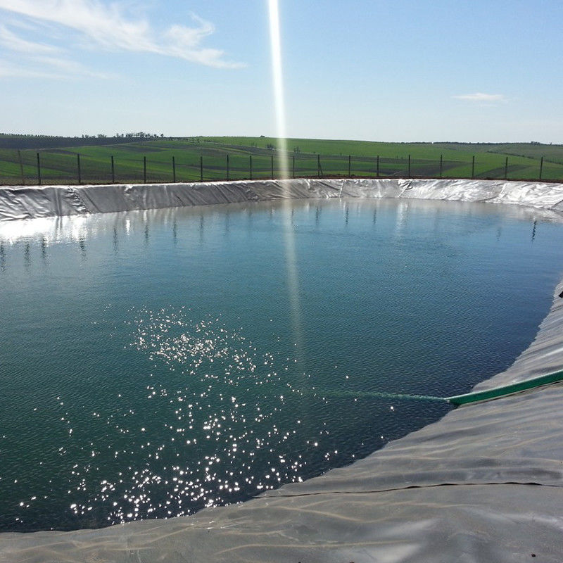 حاويات المياه المقاومة للماء HDPE Geomembrane Pond Liner لخزانات المياه مزرعة الجمبرى السمكية 0.2 - 2.5mm