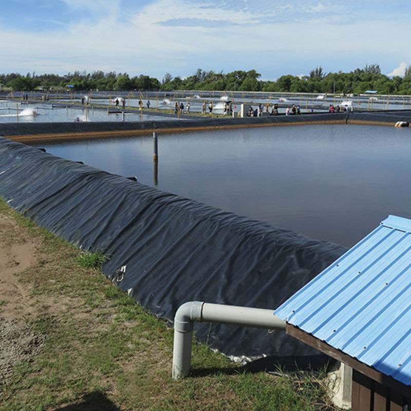 حاويات المياه المقاومة للماء HDPE Geomembrane Pond Liner لخزانات المياه مزرعة الجمبرى السمكية 0.2 - 2.5mm