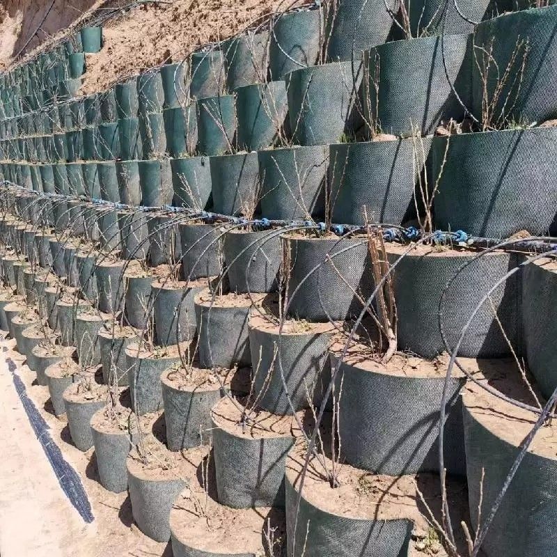 الشبكة الأرضية للخلايا الأرضية HDPE المقاومة للتآكل المستخدمة في بناء الطرق