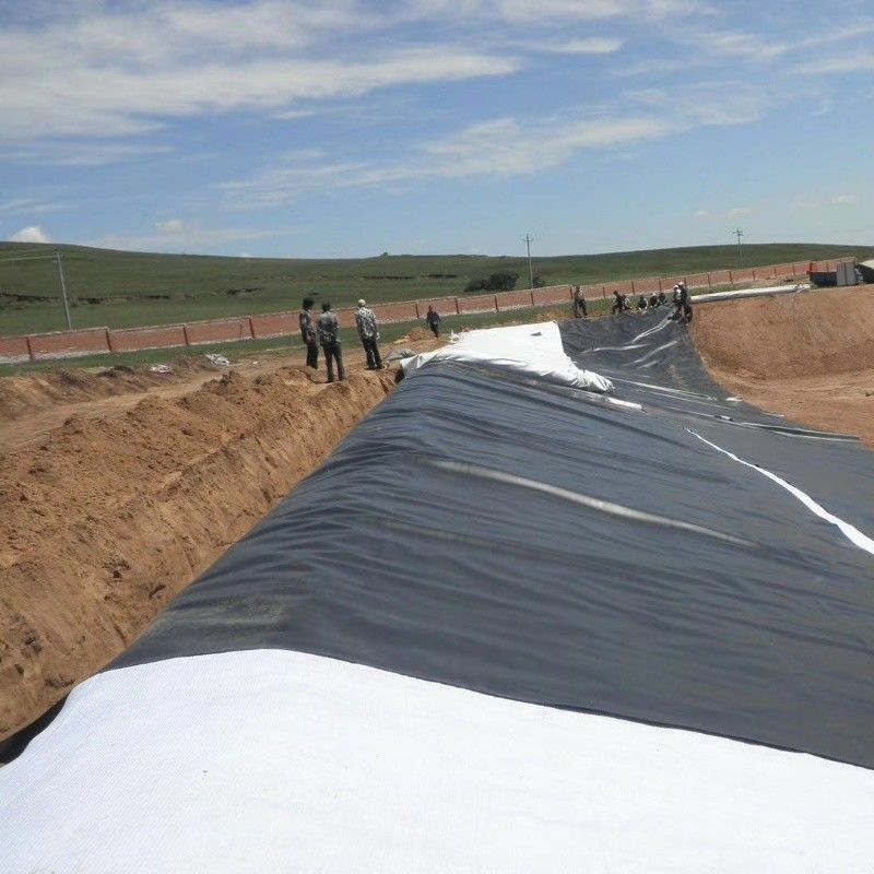 0.5mm 1mm 1.5mm بلاستيكية مقاومة للماء تربية الأحياء المائية غشاء الجيومبريم Hdpe Liner مزرعة الأسماك