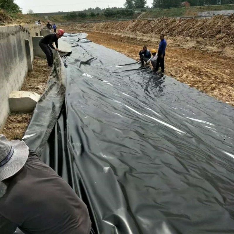 0.5mm 1mm 1.5mm بلاستيكية مقاومة للماء تربية الأحياء المائية غشاء الجيومبريم Hdpe Liner مزرعة الأسماك