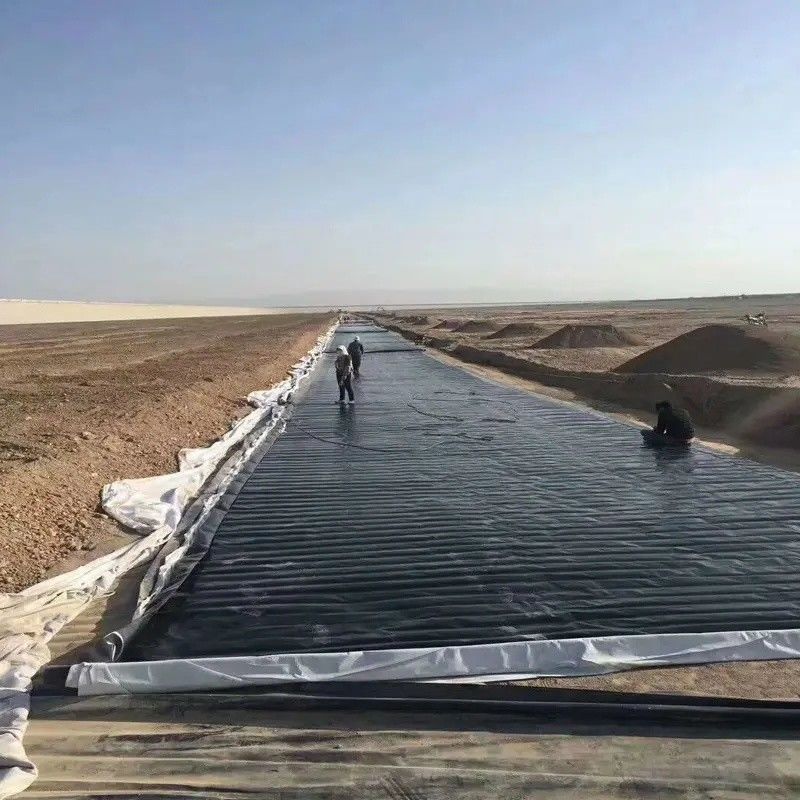 0.5mm 1mm 1.5mm بلاستيكية مقاومة للماء تربية الأحياء المائية غشاء الجيومبريم Hdpe Liner مزرعة الأسماك