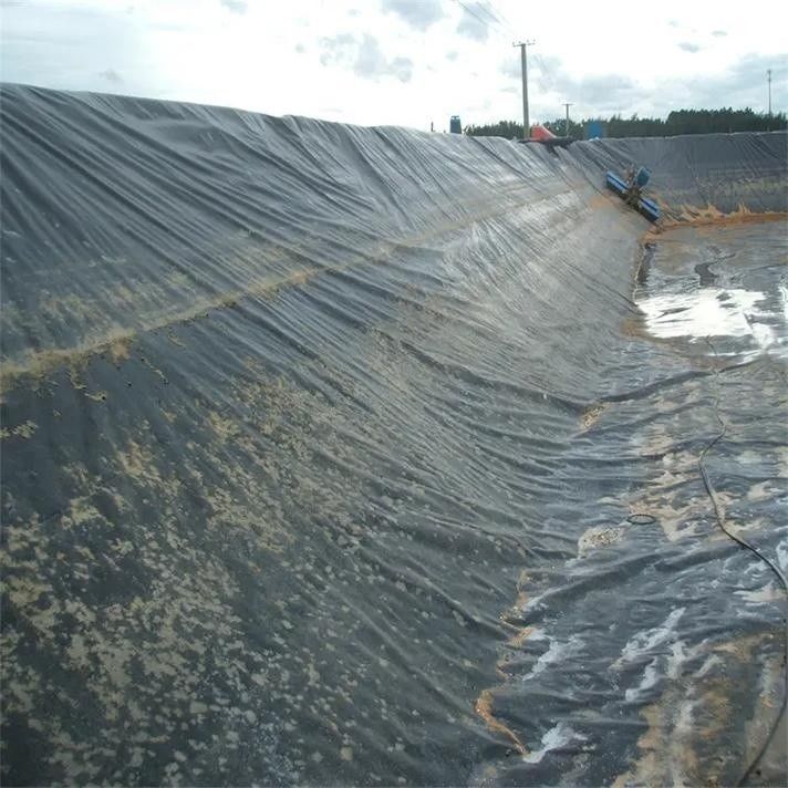 حاوية عزل المياه الجيوغرافية HDPE / حاوية حمام السباحة / مواد بناء الطرق الجوريد مكب الغاز الحيوي