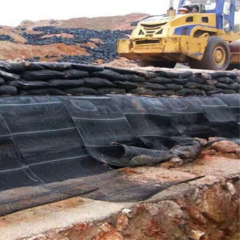 الشبكة الجغرافية الشبكة الأرضية البلاستيكية أحادية المحور البوليستر الشبكة الأرضية أحادية المحور الشبكة الرملية الأرضية للقبو