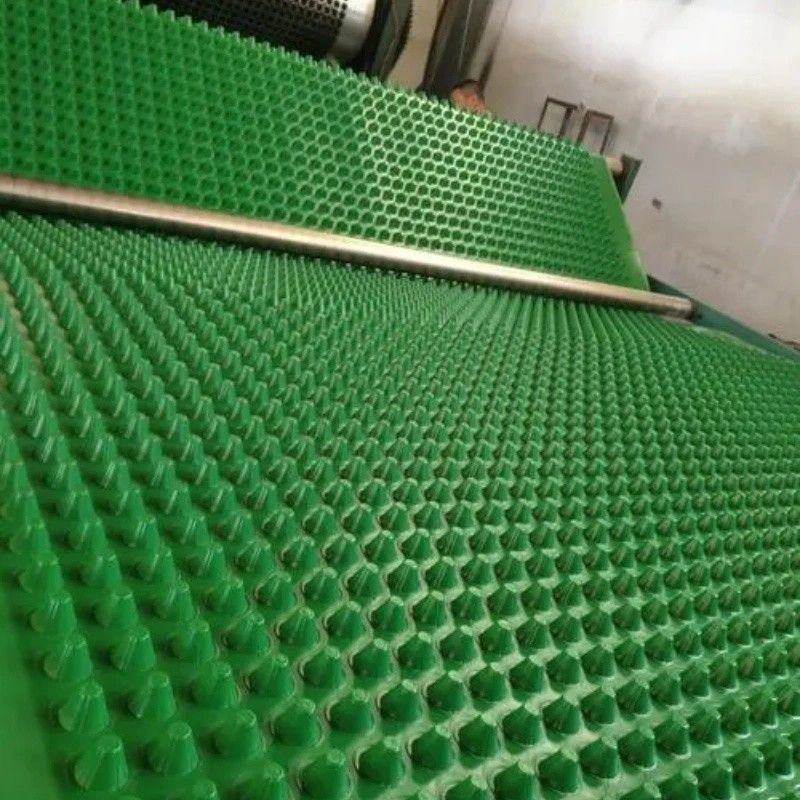 مشروع خضراء غشاء الصرف الصحي المكثف PVC لوح الصرف الصحي المكثف العمل الأساسي الحل المائي الحل المائي
