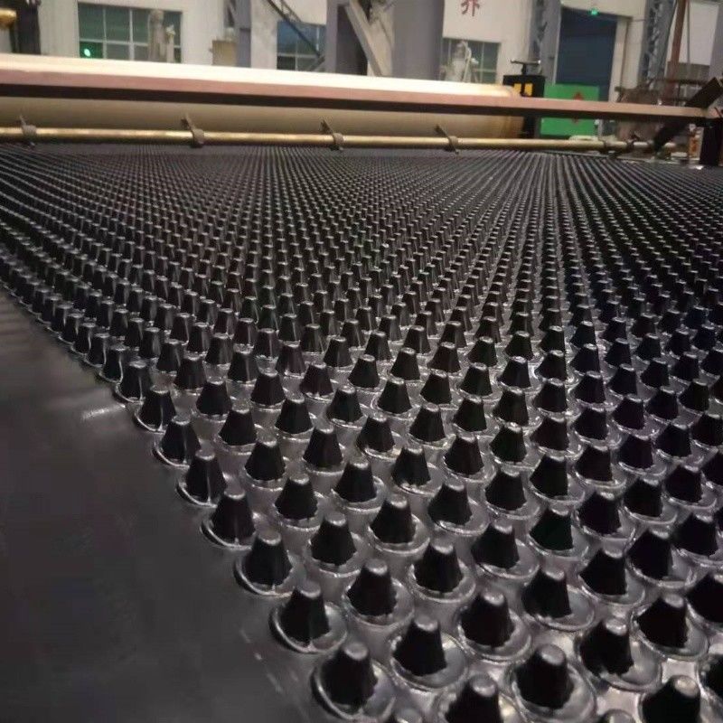 مشروع خضراء غشاء الصرف الصحي المكثف PVC لوح الصرف الصحي المكثف العمل الأساسي الحل المائي الحل المائي