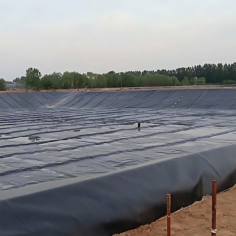 ASTM 100٪ عذراء مقاومة للماء تربية الأحياء المائية سد بركة عالية الكثافة HDPE Geomembrane سد بركة سد