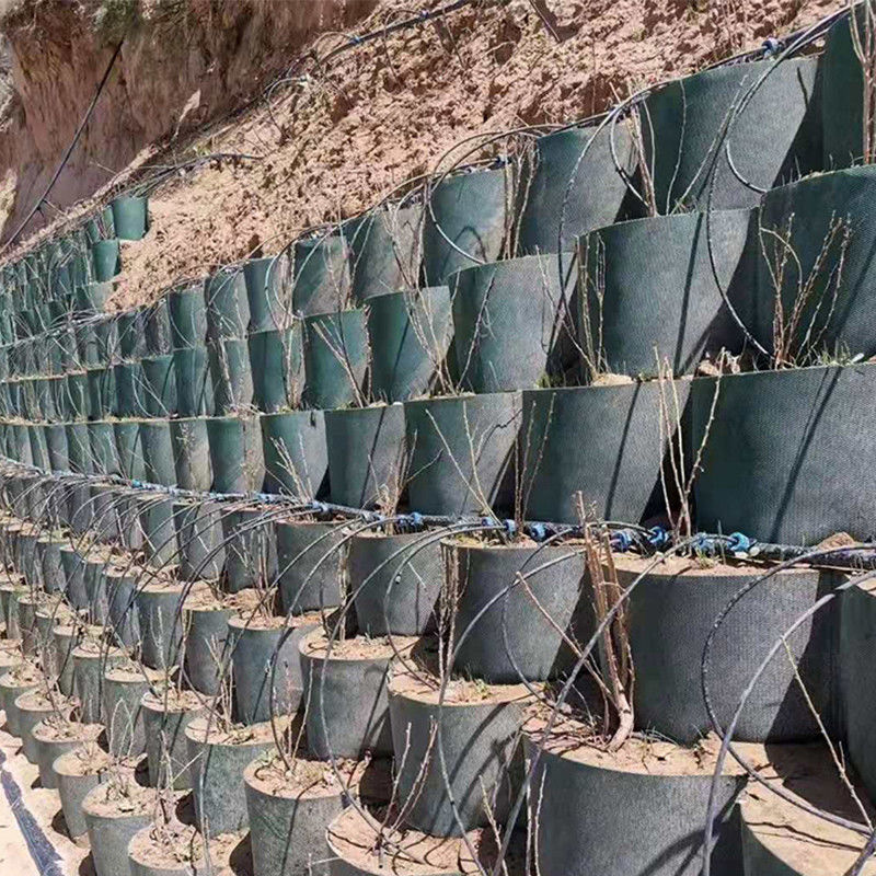 نظام الحبس الخلوي عالي النسيج حشيش العسل HDPE Geocell للطريق الأساس حماية المنحدرات موقف للسيارات طريق القيادة الحائط