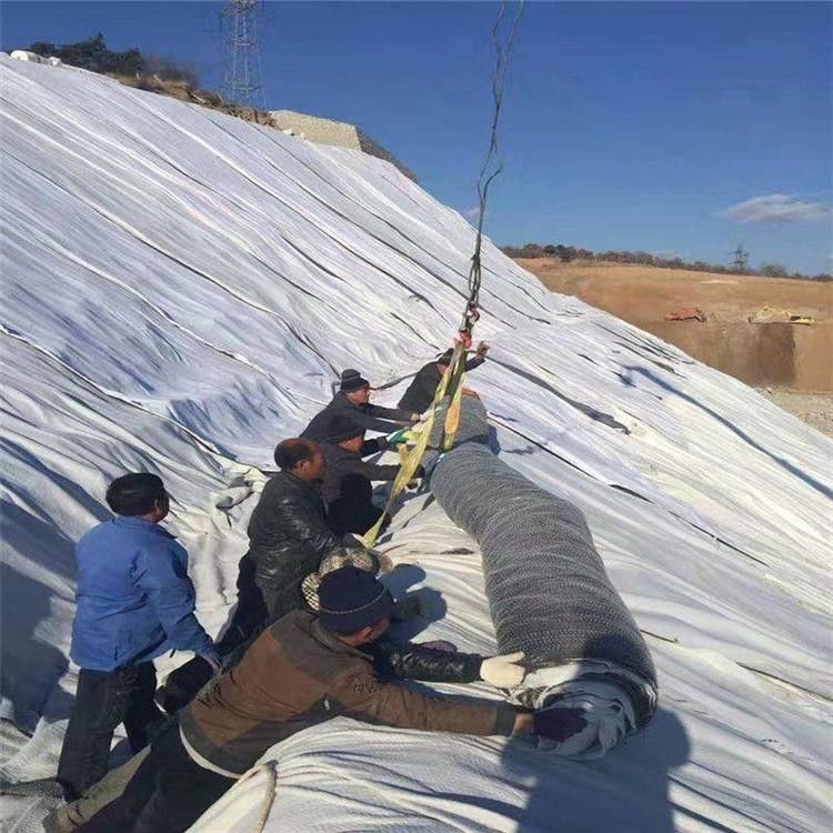 حفرة مكافحة التسرب الجيوسينتيسية GCL طلاء غليينر Gcl بنتونيت الجيوسينتيسية للمكب