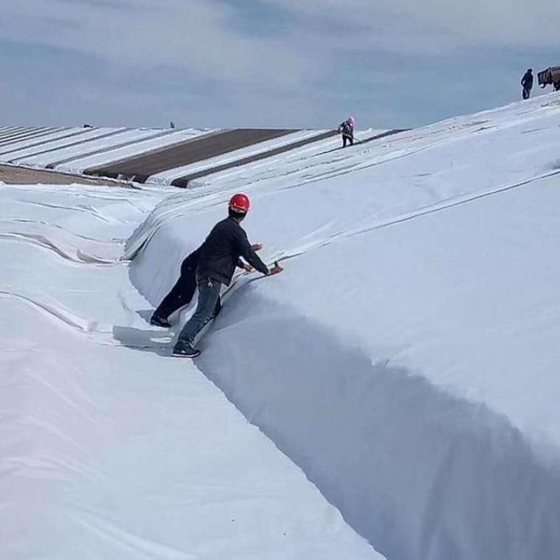 بيضاء سوداء غير منسوجة إبرة مثقوبة الجيوتيكستيل بي تي بي للطريق السريع السكك الحديدية