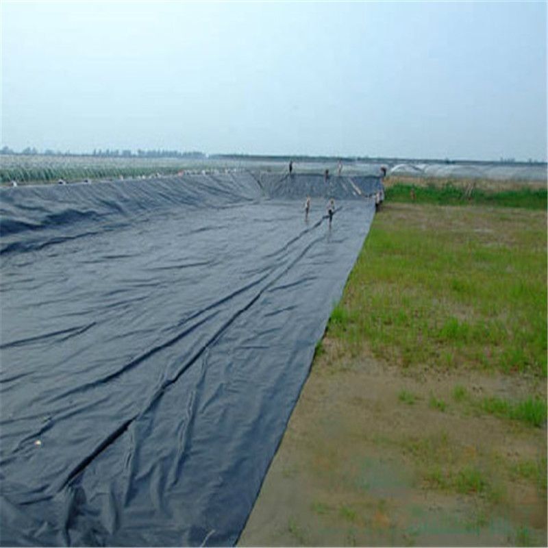 HDPE High Definition Polyethylene Liner تصميم صناعي للأسماك ومزارع الجمبرى برك مقاوم للماء