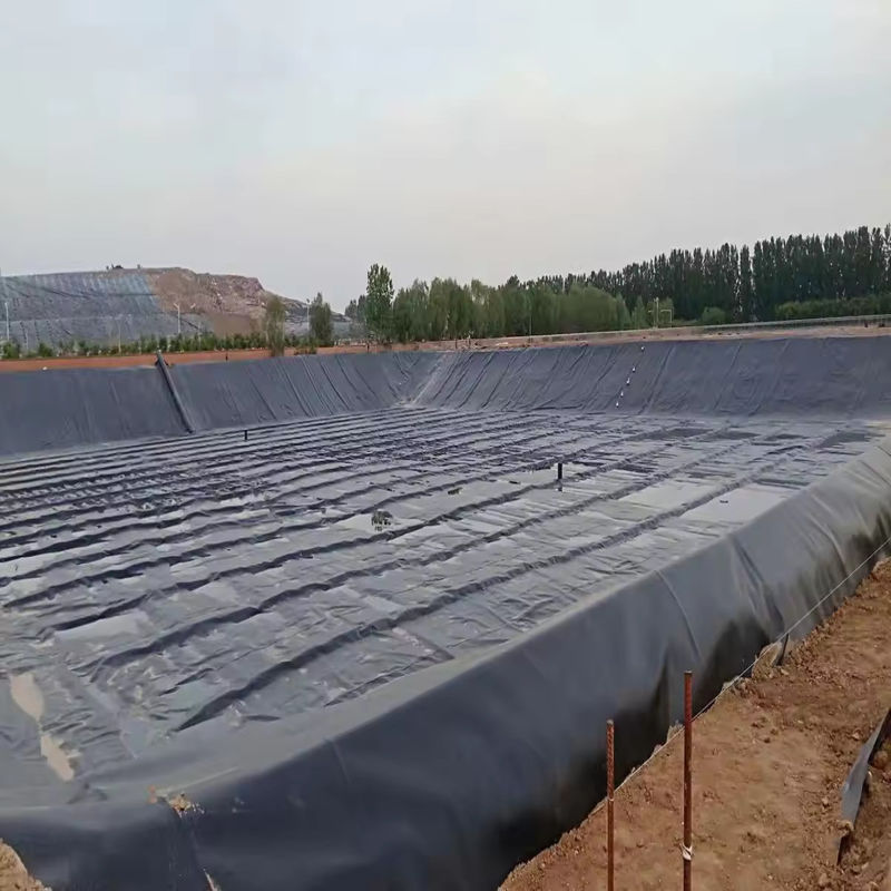 HDPE مخصصة LDPE LLDPE PVC Geomembranes سدادة بركة للأسماك والروبيان سدادة بركة & سدادة بركة البولي إيثيلين المقوى