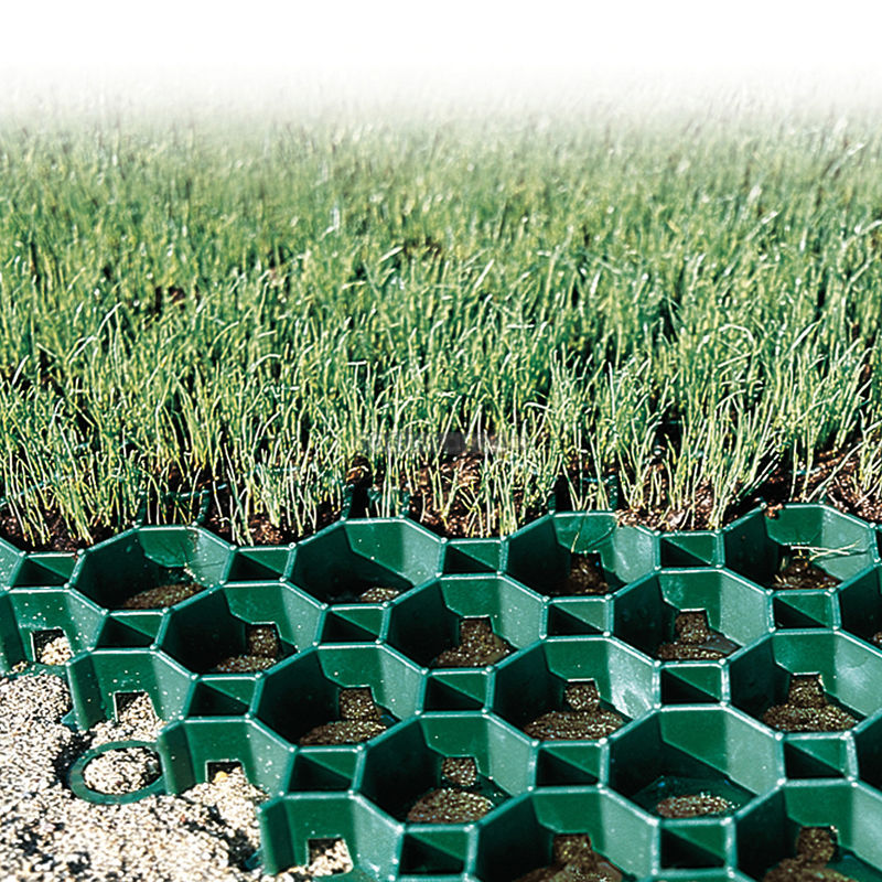 مقاطع HDPE المصفوفة الشبكة العشبية البلاستيكية البوليستر الشبكة الجغرافية البلاستيكية لموقف السيارات مخرج الحريق الجملة المناظر الطبيعية الأرضية الحجر الجغرافي الشبكة الحديدية