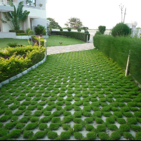 شبكة عشب بلاستيكية بلاستيكية لموقف السيارات، مخرج حريق، بلاط HDPE، شبكة أرضية للمناظر الطبيعية، خلية أرضية، شبكة حجرية، شبكة حقل الحصان
