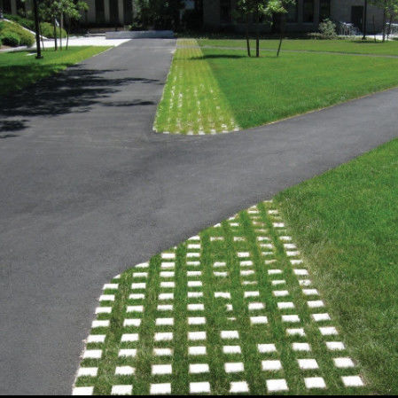 شبكة عشب بلاستيكية بلاستيكية لموقف السيارات، مخرج حريق، بلاط HDPE، شبكة أرضية للمناظر الطبيعية، خلية أرضية، شبكة حجرية، شبكة حقل الحصان