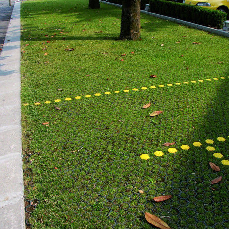 شبكة عشب بلاستيكية بلاستيكية لموقف السيارات، مخرج حريق، بلاط HDPE، شبكة أرضية للمناظر الطبيعية، خلية أرضية، شبكة حجرية، شبكة حقل الحصان