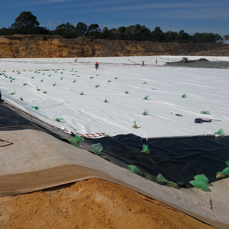Impermeable UV Resistant HDPE Geomembrane Pond Liner for Aquaculture Agriculture Dam Landfill Fish Farming Biodigester Mining