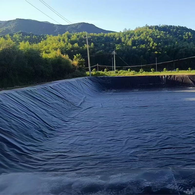 0.75-2.5mm HDPE Geomembrane سقف بركة للمكب الأسماك الجمبرى بركة سقف البركة المكب المكعب