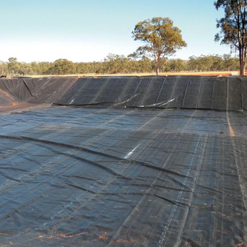 الصلبة الأسود المكسوة Hdpe مقاومة للماء بركة المكسوة غيوممبران بولي إيثيلين مصنع السعر للبيع